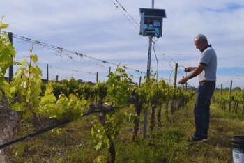 En la cuenca media del