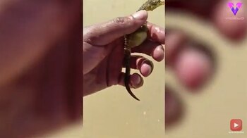 10-01-2022 Un hombre rescata a