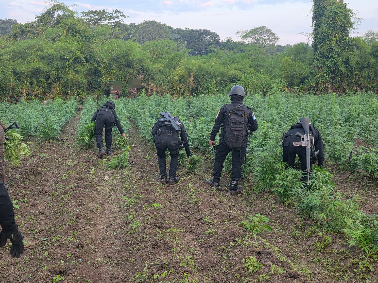 Operativo conjunto entre la PNC y el Ejército de Guatemala desarticula estructura criminal dedicada al narcotráfico en Las Cruces, Petén. (PNC Guatemala)