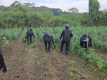 Operativo conjunto entre la PNC