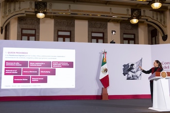 Durante la conferencia de prensa matutina, se presentaron los contenidos que las plataformas digitales deberán bajar de manera automática. (Presidencia)