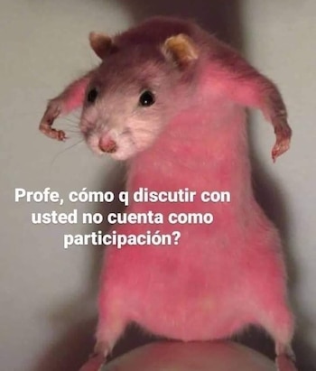 Los mejores memes que dejó