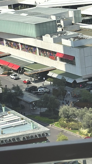 Zapopan Jalisco abogado