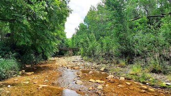 Los arroyos ofrecen diversión para