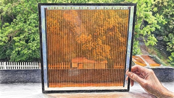 Cómo funciona la innovadora ventana que deja pasar la luz mientras produce energía