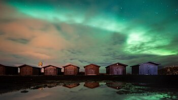 Viaje al corazón de una