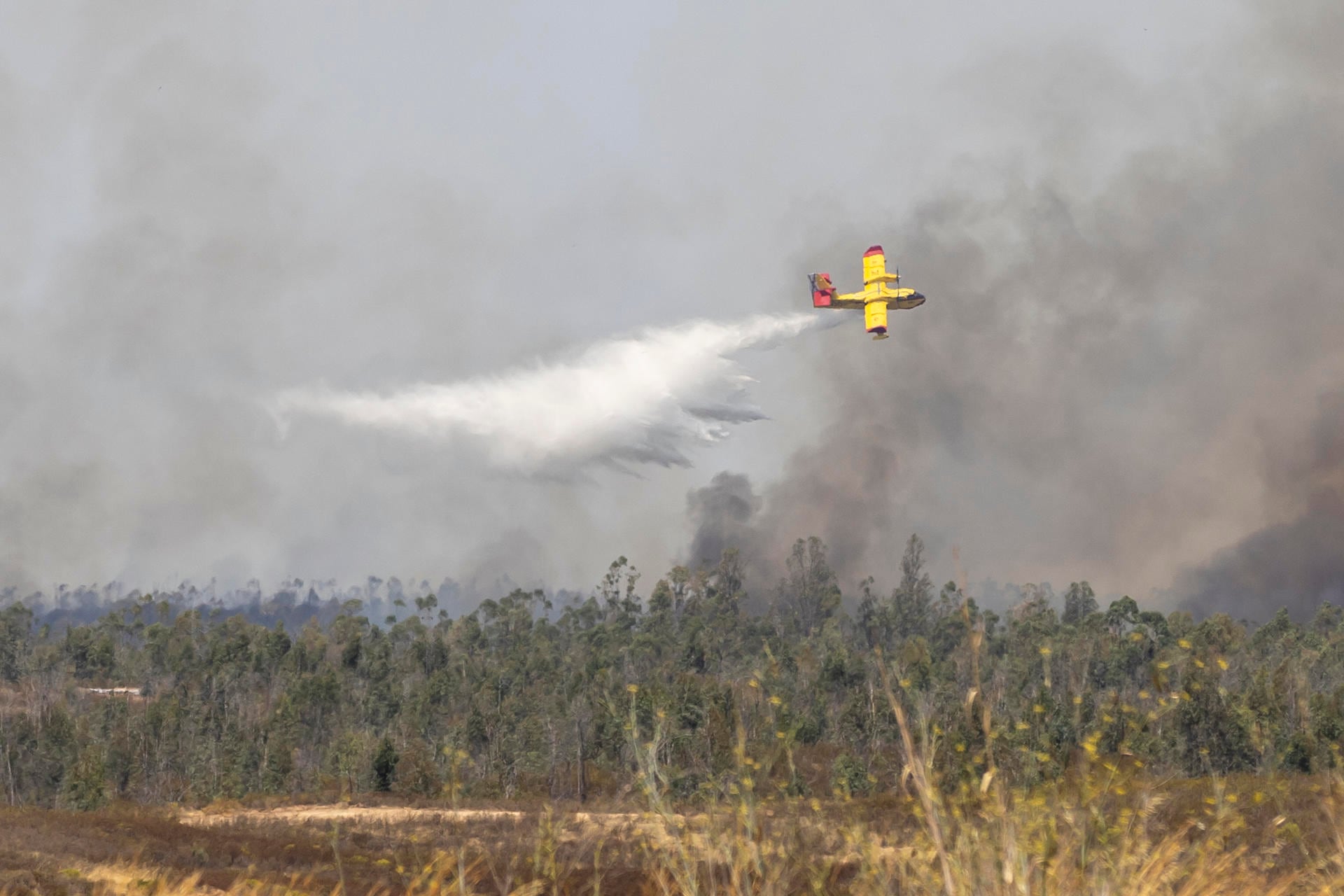 Situación de los incendios forestales en España: Niebla (Huelva) roza las 4.000 hectáreas y Castellón vuelca sus medios en Tírig