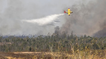 Situación de los incendios forestales en España: Niebla (Huelva) roza las 4.000 hectáreas y Castellón vuelca sus medios en Tírig