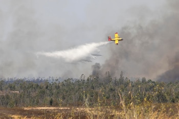 Medios aéreos trabajan en las labores de extinción del incendio forestal en Niebla (Huelva). (EFE/ Alberto Díaz)