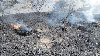 El Salvador permanece bajo alerta amarilla nacional por el aumento de incendios forestales y de maleza en 2026. (Foto: Comandos de Salvamento)