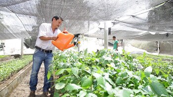 Bogotá entra por primera vez