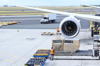 Se destacó la apertura de