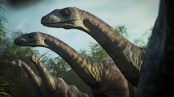 La diversidad y flexibilidad alimentaria