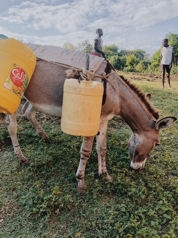 Van a buscar agua en