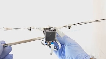 Las pruebas con el murciélago