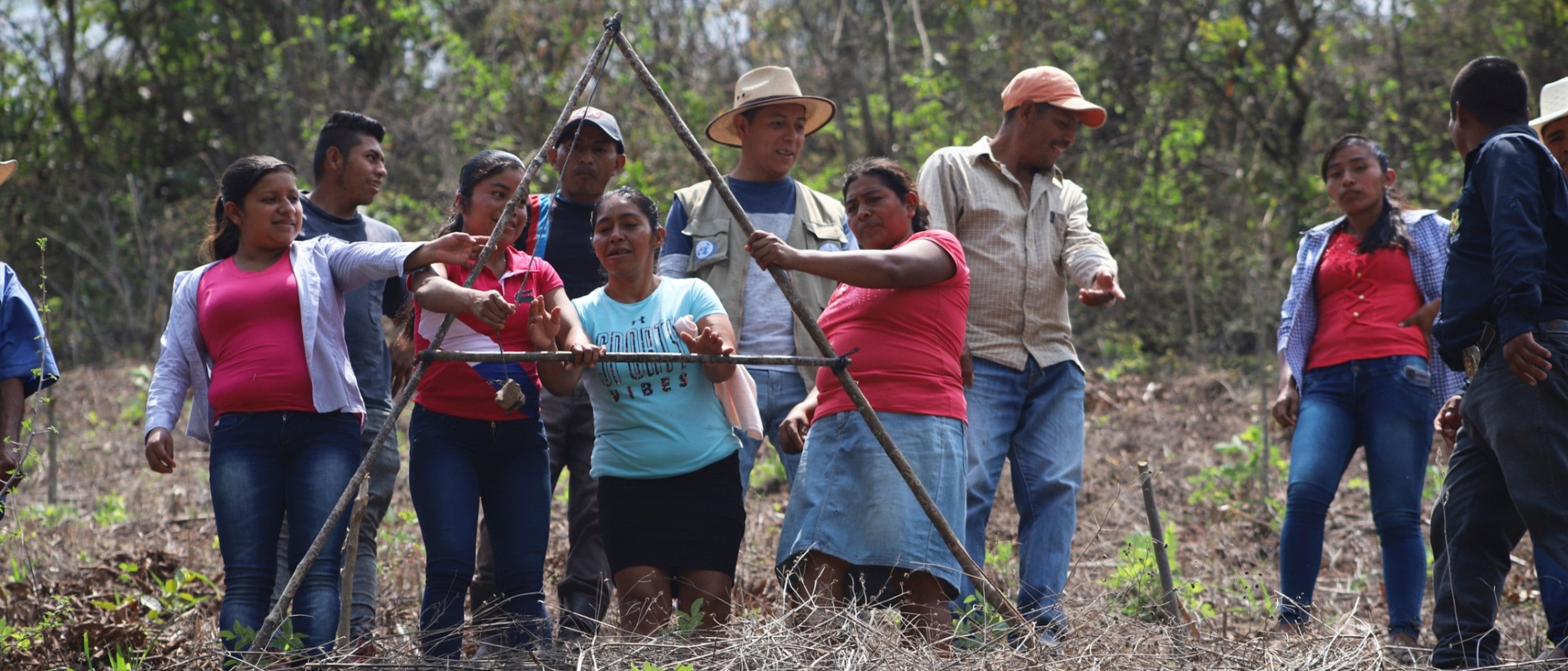 81,9% de los hogares hondureños evaluados redujo o eliminó al menos un insumo agrícola, principalmente por el encarecimiento de los fertilizantes. (Foto: Archivo)