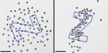 23-09-2021 Instantáneas de un experimento de formación de formas que muestra varias etapas del proceso, desde la distribución inicial de partículas hasta el resultado final.
POLITICA INVESTIGACIÓN Y TECNOLOGÍA
AALTO UNIVERSITY
