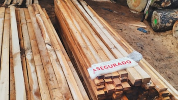 Profepa clausura tres predios en Edomex por desmonte ilegal y manejo irregular de madera