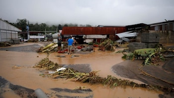 Lluvias en Costa Rica: Comisión Nacional de Emergencias declara alerta verde por riesgo de inundaciones y deslizamientos