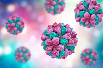 El norovirus afecta gravemente el