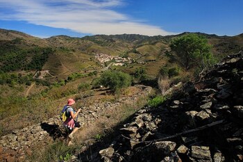 El Camino del vino de