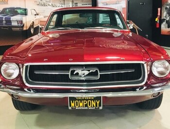 Ejemplares de Ford Mustang es