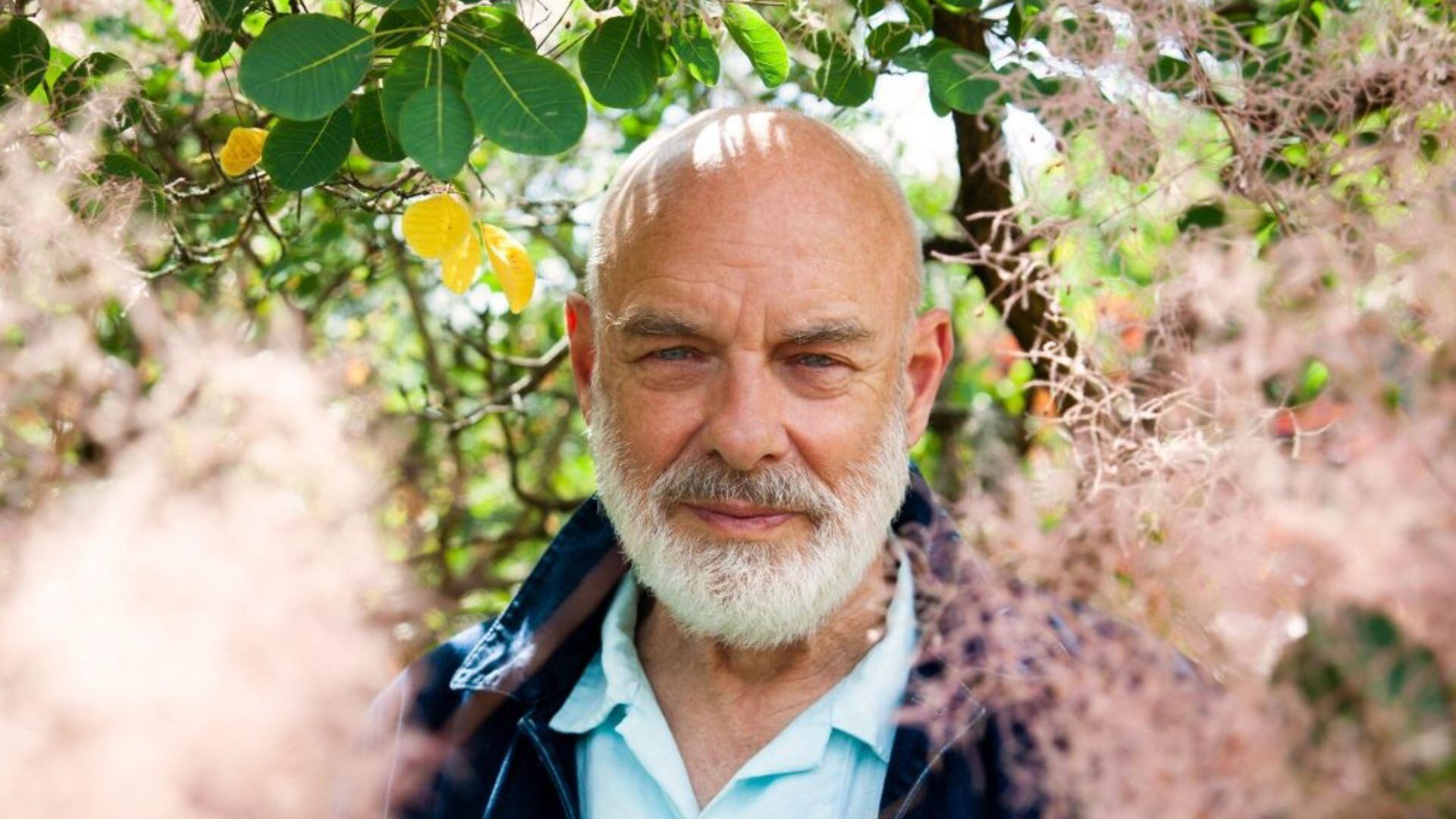 Brian Eno sorprende con una colección de arte tan impredecible como su música