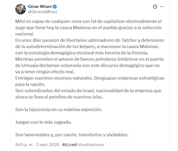 Las declaraciones de César Milani