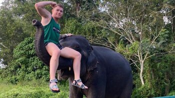 Entre elefantes, rascacielos y un