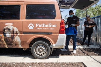 El crematorio atiende especies convencionales y exóticas, como perros, gatos, iguanas, tortugas o monos, ampliando el concepto de mascota en el país. (EFE/ STR)