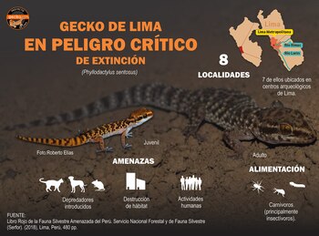 Infografía desarrollada por el Proyecto
