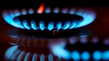 Nuevo decreto establece cómo se