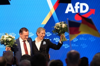 Alice Weidel y el co-líder