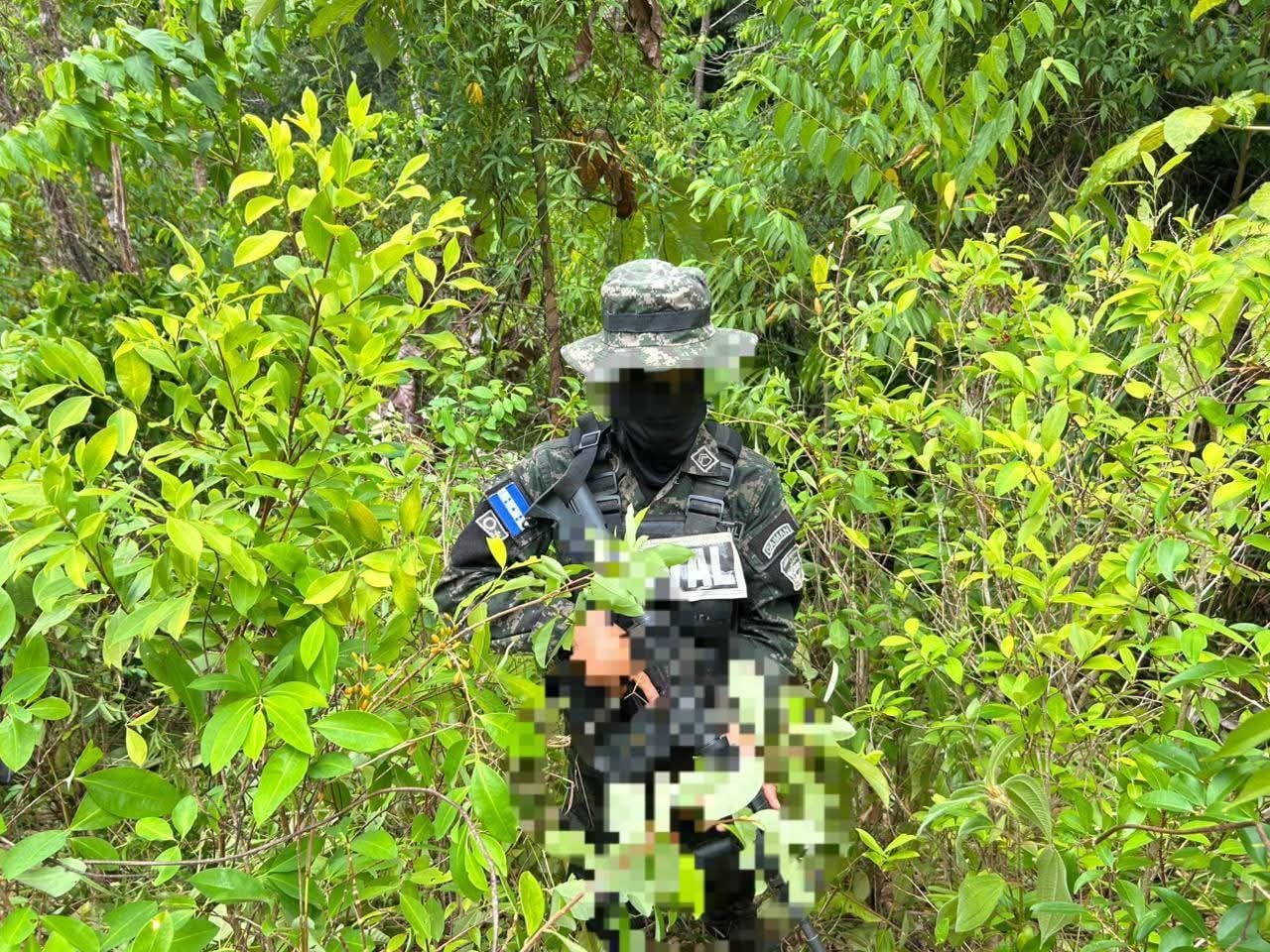 Las autoridades contabilizaron alrededor de 16 mil 500 arbustos de supuesta coca. El hallazgo fue realizado por efectivos del Primer Batallón de Fuerzas Especiales Navales. (Foto: Fuerzas Armadas)