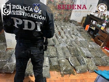 La Fiscalía CDMX aseguró 258