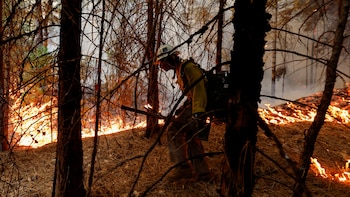Incendio forestal en un estado de EEUU obliga a evacuar a decenas de familias y amenaza viviendas cerca de una autopista clave