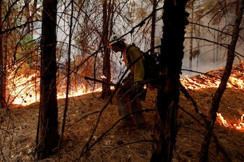 El incendio forestal en Collier, Florida, fuerza evacuaciones cercanas a la autopista I-75 y afecta a varias comunidades residenciales. (REUTERS/Fred Greaves/ARCHIVO)