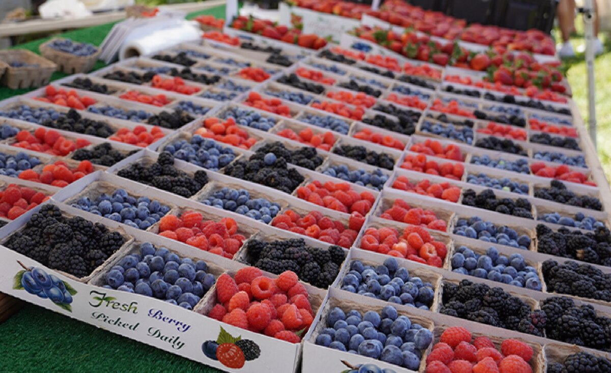 Fruta
