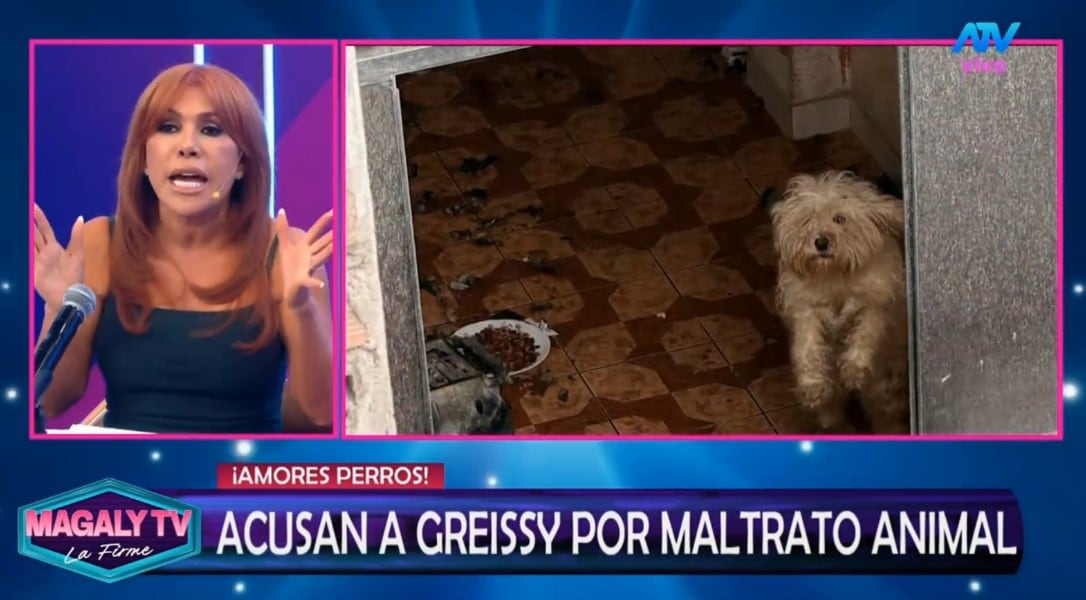 Greissy Ortega enfrenta acusaciones de presunto maltrato animal: vecinos difunden videos y audios. Captura: Magaly TV La Firme.