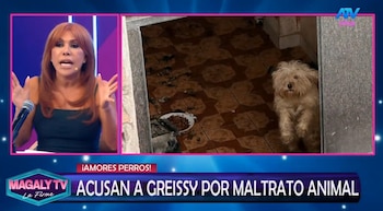 Greissy Ortega enfrenta acusaciones de presunto maltrato animal: vecinos difunden videos y audios. Captura: Magaly TV La Firme.