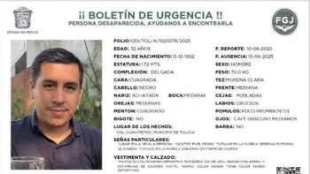 Quién es Luis Octavio Palomares