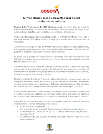 Declaração oficial do caso