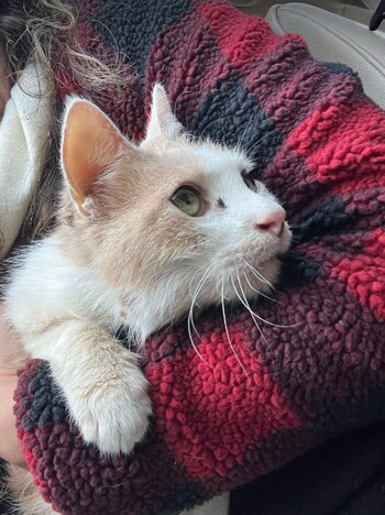 Finalmente Sandy pudo reunirse con