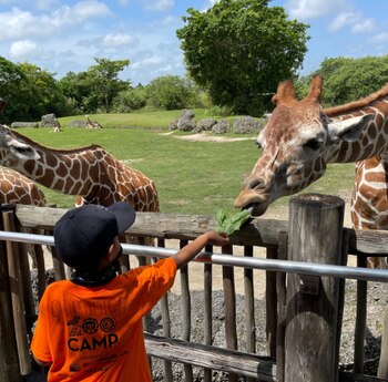 El resto de la manada
