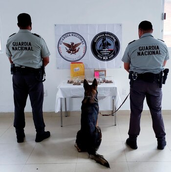 Guardia Nacional confiscó metanfetamina y