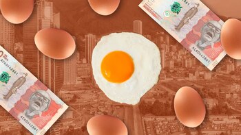 La cubeta de huevos más