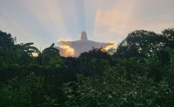 Imagen que se viralizó por