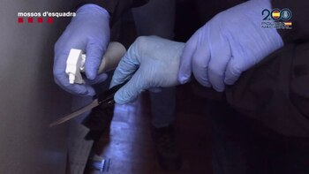 Detenidas 14 personas vinculadas al