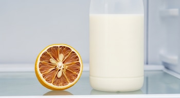 Medio limón seco de pulpa marrón y semillas, botella de leche blanca, estante de vidrio, interior de refrigerador.