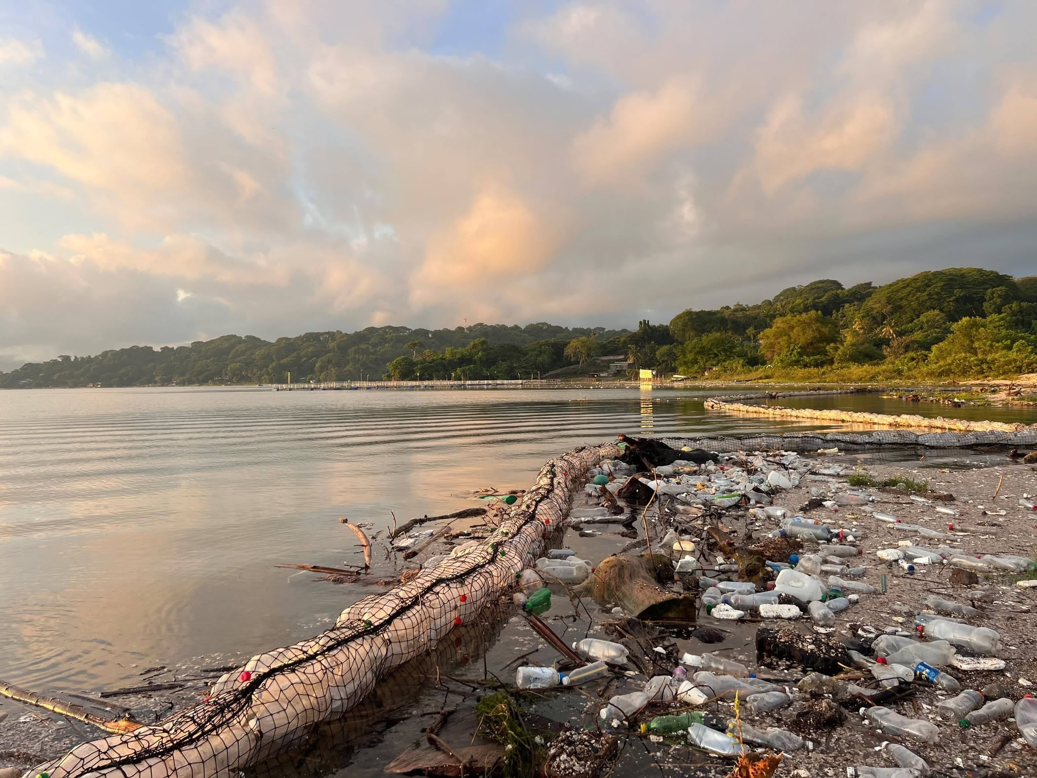 La tormenta tropical Cristina dejó miles de desechos sólidos flotando en la superficie del Lago de Ilopango. (Cortesía: ProLago de Ilopango)